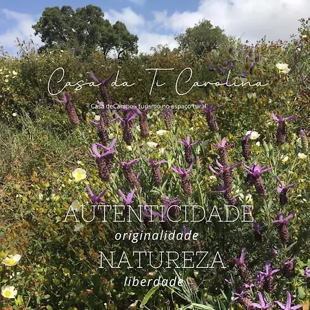 בית חווה Casa Da Ti Carolina *
