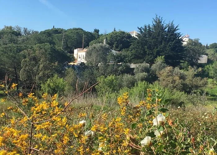 Casa Da Ti Carolina Séjour à la ferme Carvoeiro (Lagoa)