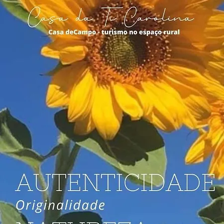 Alloggio per agriturismo Casa Da Ti Carolina Carvoeiro (Lagoa)