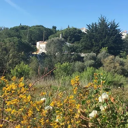 Casa Da Ti Carolina Lantgård Carvoeiro (Lagoa)